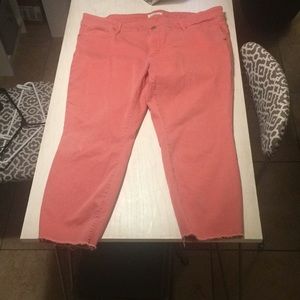 LOFT Plus Fresh Cut Skinny Crop Jeans Size 20